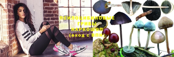 герыч Абинск