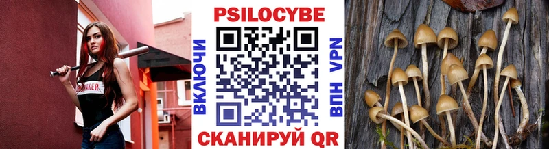 наркотики  Тогучин  Псилоцибиновые грибы прущие грибы 
